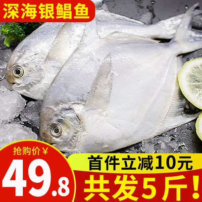 野生银鲳鱼5斤鲜活海鲜冷冻 深海白鲳鱼新鲜水产平鱼镜鱼海鱼扁鱼
