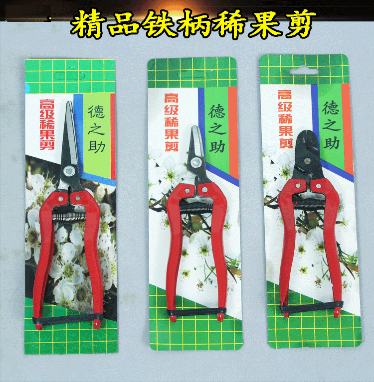 直头稀果剪刀采果剪盆景园林剪疏花剪修枝剪芽剪摘果剪葡萄采摘剪|msdalam kategori penghantaran bunga/bunga simulasi/tumbuhan berkebun, Gardening Supplies, berkebun/pisau/Shears/Saw (baru), gunting - dari Buy2taobao.com untuk memberikan perkhidmatan ejen Taobao profesional membeli