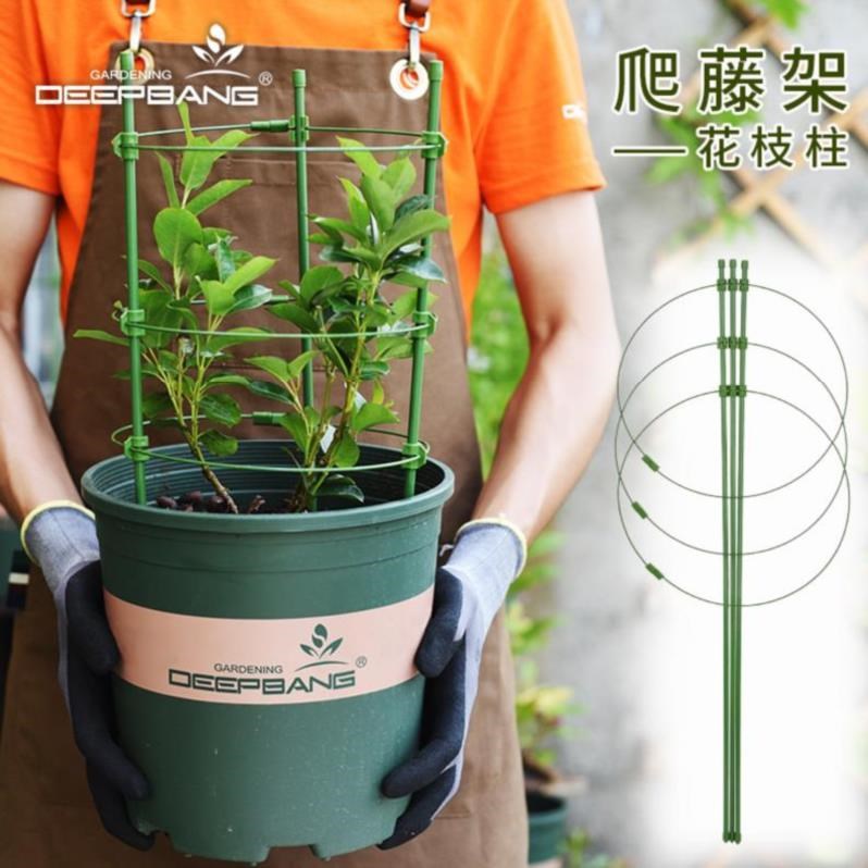 支撑杆种植月季百香果爬藤架简易火龙果客厅兰花阶梯式支架楼顶|msdalam kategori penghantaran bunga/bunga simulasi/tumbuhan berkebun, pasu/bunga/flowerpot/Bunga (baru), bunga - dari Buy2taobao.com untuk memberikan perkhidmatan ejen Taobao profesional membeli