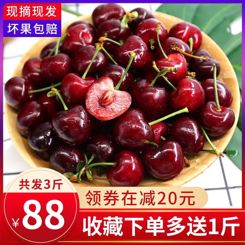 Shandong Yantai Cherry Cherry 3 pregnant woman fresh fruit Meizao Red light Cherry Spot 5in the Aquatic meat/Fresh fruits and vegetables/Cooked , Fresh fruit , Cherries/Cherry category - from Buy2taobao.com to provide professional Taobao agent buy service