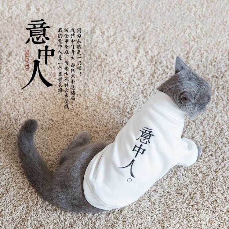 猫衣服小型秋冬暹罗英短宠物衣服衣服无毛猫搞笑幼猫用品秋装猫咪|ruв категории животное/Животное питание и принадлежностей, одежды и аксессуаров для домашних животных, домашний костюм/плащ - от Buy2taobao.com для оказания профессиональной услуги покупки агента Taobao