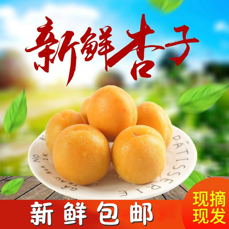 新鲜水果烟台大黄杏 酸甜现摘应季时令水果 带箱5斤包邮酸甜可口在类目 水产肉类/新鲜蔬果/熟食, 新鲜水果, 其它中 - 来自Buy2taobao.com提供专业的淘宝代购服务
