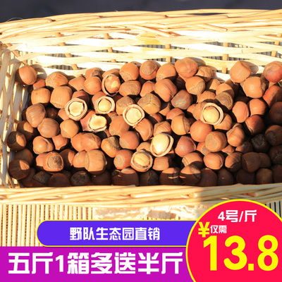 木乃壳 东北榛仁新鲜榛果特产野生榛子臻子坚果500g原味 散装