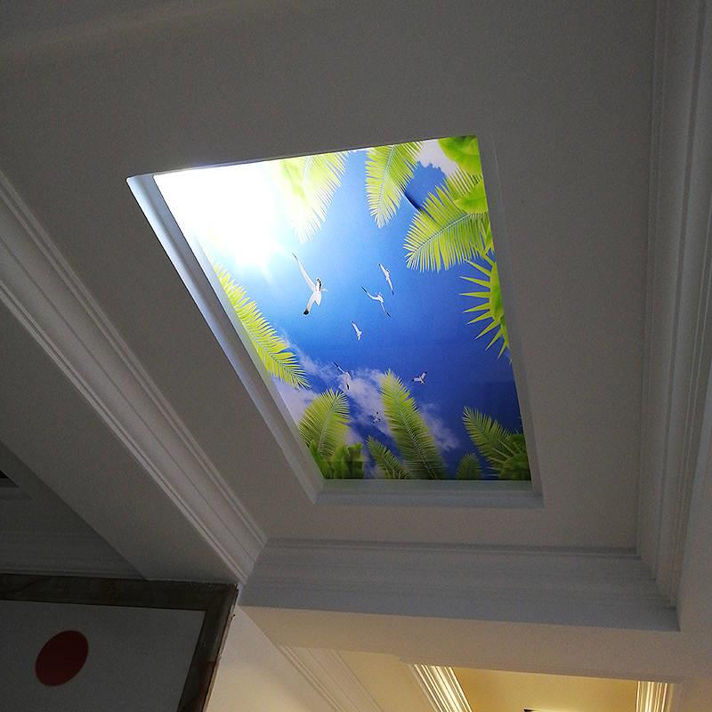 艺术玻璃天花吊顶过道专用透光冰晶画背景装饰走廊玄关风景画定做|ruв категории основы строительных материалов, стекло, художественного стекла - от Buy2taobao.com для оказания профессиональной услуги покупки агента Taobao