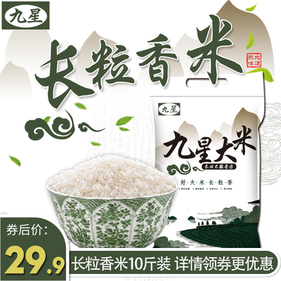 九星 东北大米 长粒香米 5kg/10斤 真空袋装 当季新米清香有嚼劲