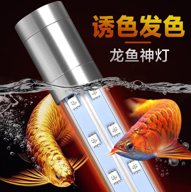 鱼缸专用led灯艾诺芬龙鱼灯红金龙鱼增色发金专用灯龙鱼LED潜水灯|msdalam kategori haiwan peliharaan/makanan haiwan dan bekalan, Aquarium World, tangki ikan akuarium dan kelengkapan lain, peralatan lampu - dari Buy2taobao.com untuk memberikan perkhidmatan ejen Taobao profesional membeli