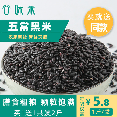 东北黑米500g黑大米新货黑龙江农家自产五常黑香米五谷杂粮黑米粥