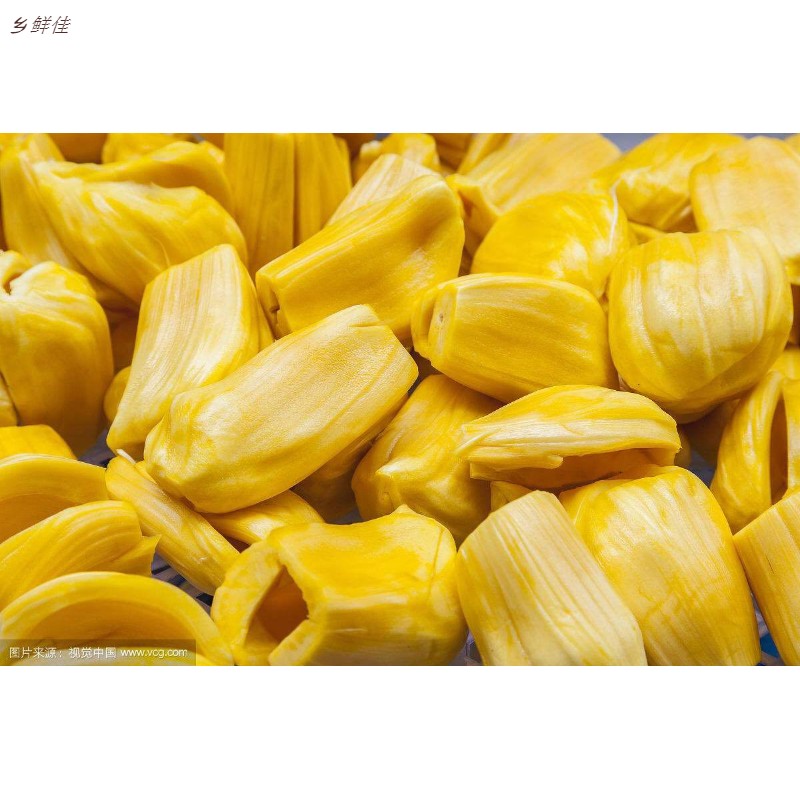 现摘海南三亚青皮黄肉菠萝蜜新鲜应季菠萝蜜净重17斤包邮在类目 水产肉类/新鲜蔬果/熟食, 新鲜水果, 其它中 - 来自Buy2taobao.com提供专业的淘宝代购服务