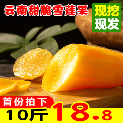 云南天山雪莲果新鲜10斤红心整箱包邮现挖红泥沙整箱当季水果黄5