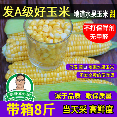 雨哥在云南云南水果玉米新鲜现摘甜玉米棒生吃甜脆净重7斤以上