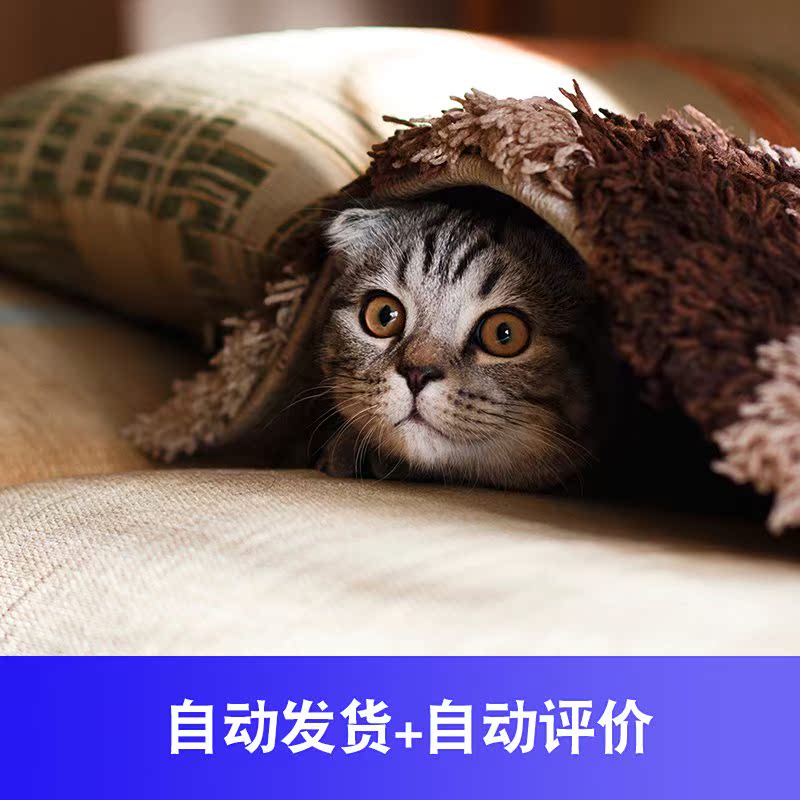 A sub-/Small gifts automatic Delivery seconds/Comment 0.1/ Yuan wallpaper/Love pictures 0.01 naturalin the Web store voucher/Coupon , Web store vouchers category - from Buy2taobao.com to provide professional Taobao agent buy service