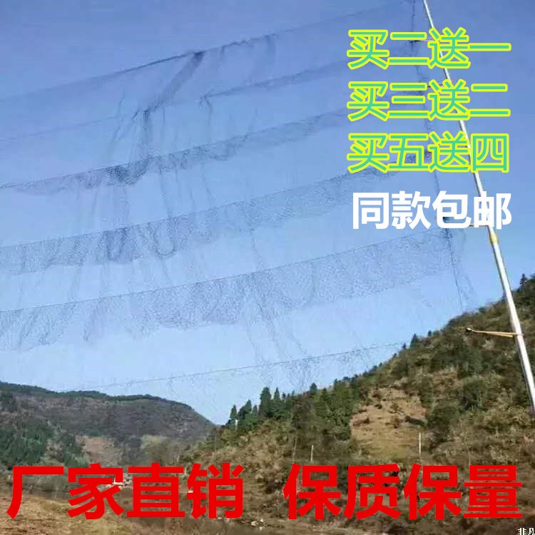 粘画眉鸟的网单层网大棚加厚防鸟用的粘网粘山鸡网鸟粘网网丝黑色|ruв категории доставка цветов/цветок моделирования/растения садоводства, садовых принадлежностей, других садовых принадлежностей - от Buy2taobao.com для оказания профессиональной услуги покупки агента Taobao