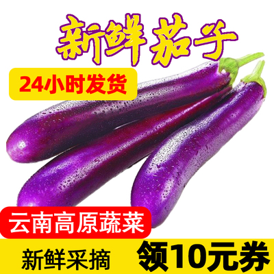 新鲜云南茄子时令现摘蔬菜类黑茄长茄子吊菜子矮瓜白茄紫绿色5斤