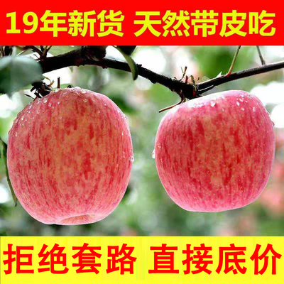 新货5斤装苹果水果新鲜当季应季脆甜陕西红富士丑萍果嘎啦整箱
