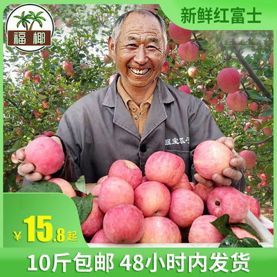 水果新鲜 当季 整箱丑苹果10斤包邮冰糖心红富士大苹果