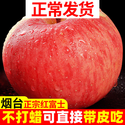 山东烟台苹果栖霞红富士果园直发整箱10斤一级水果新鲜脆甜不打蜡