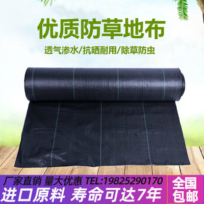 防草布除草布抗老化园艺地布果园果树遮草盖草布透气保湿农用地布