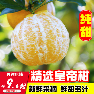 婴筑隆新鲜纯甜皇帝柑现货贡柑黄帝柑小橘子柑橘孕妇水果桔子5斤