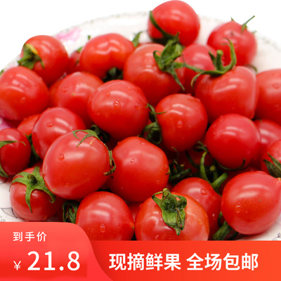 圣女果山东千禧小番茄新鲜樱桃柿子小西红柿孕妇水果现摘5斤包邮
