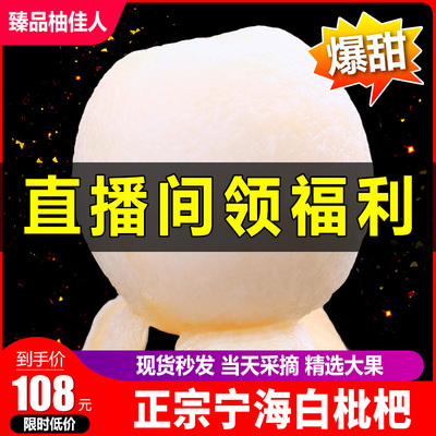 宁海白玉枇杷新鲜现摘大果5斤装包邮当季孕妇水果非东山白沙琵琶