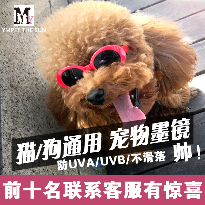 猫用戴的 宠物眼镜狗狗墨镜 泰迪 贵宾 迷你小型犬 可爱 潮流装饰在类目 宠物/宠物食品及用品, 宠物服饰及配件, 其它服饰配件中 - 来自Buy2taobao.com提供专业的淘宝代购服务