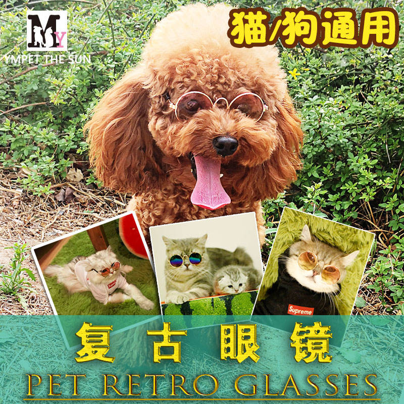吸猫头饰宠物眼镜狗狗墨镜太阳镜装饰品泰迪贵宾猫咪小型犬表演在类目 宠物/宠物食品及用品, 宠物服饰及配件, 其它服饰配件中 - 来自Buy2taobao.com提供专业的淘宝代购服务