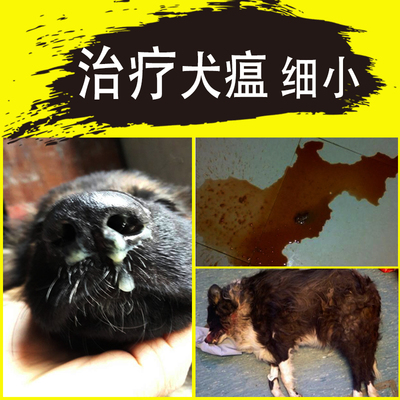 治疗细小病毒冠状狗瘟治疗犬瘟热血清犬瘟单抗细小单抗犬瘟药套餐