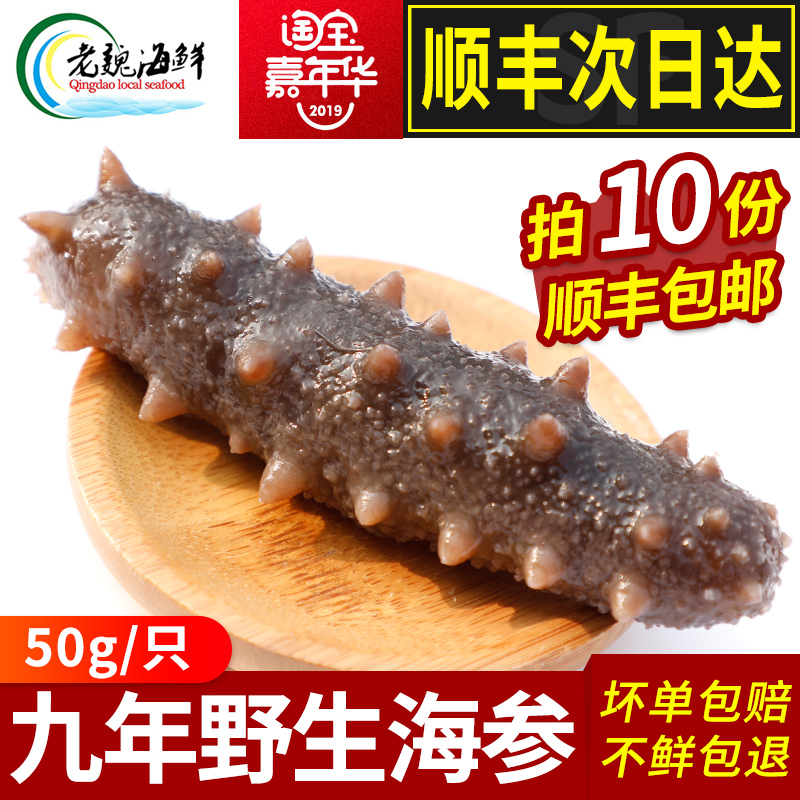 即食海参野生刺参鲜青岛老魏海鲜 每只50克左右 活处理高压活海参在类目 水产肉类/新鲜蔬果/熟食, 海鲜/水产品/制品, 海参中 - 来自Buy2taobao.com提供专业的淘宝代购服务