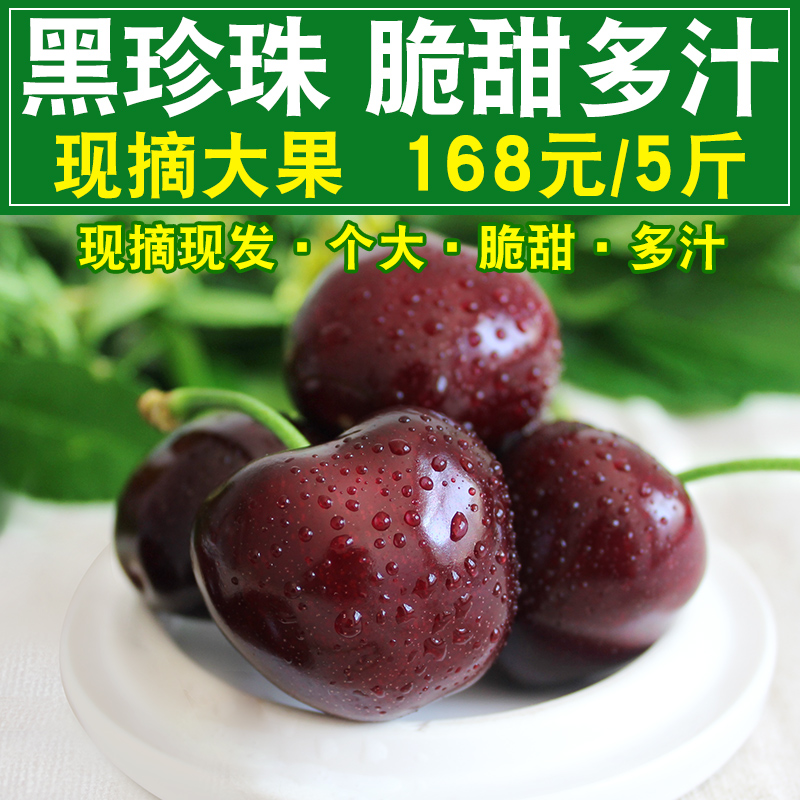 甜 现摘现发烟台大樱桃应季车厘子新鲜水果山东黑珍珠樱桃5斤包邮在类目 水产肉类/新鲜蔬果/熟食, 新鲜水果, 车厘子/樱桃中 - 来自Buy2taobao.com提供专业的淘宝代购服务