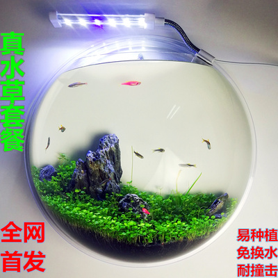 微景水族箱造景花瓶墙面小金鱼缸挂墙鱼缸创意壁饰挂草缸客厅迷你