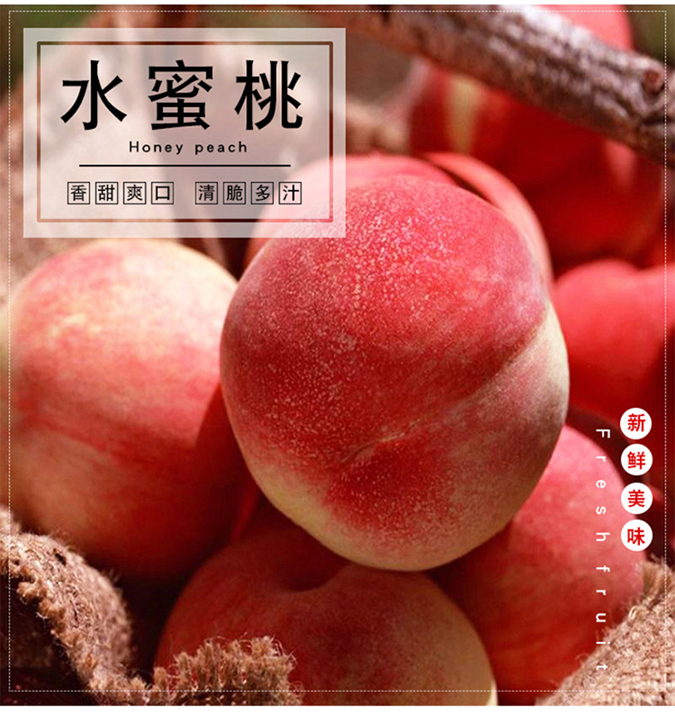 fresh Shaanxi Honey Peach 5 Peach Wild peach Nectarine Season pregnant woman Season fruitin the Aquatic meat/Fresh fruits and vegetables/Cooked , Fresh fruit , Peach category - from Buy2taobao.com to provide professional Taobao agent buy service