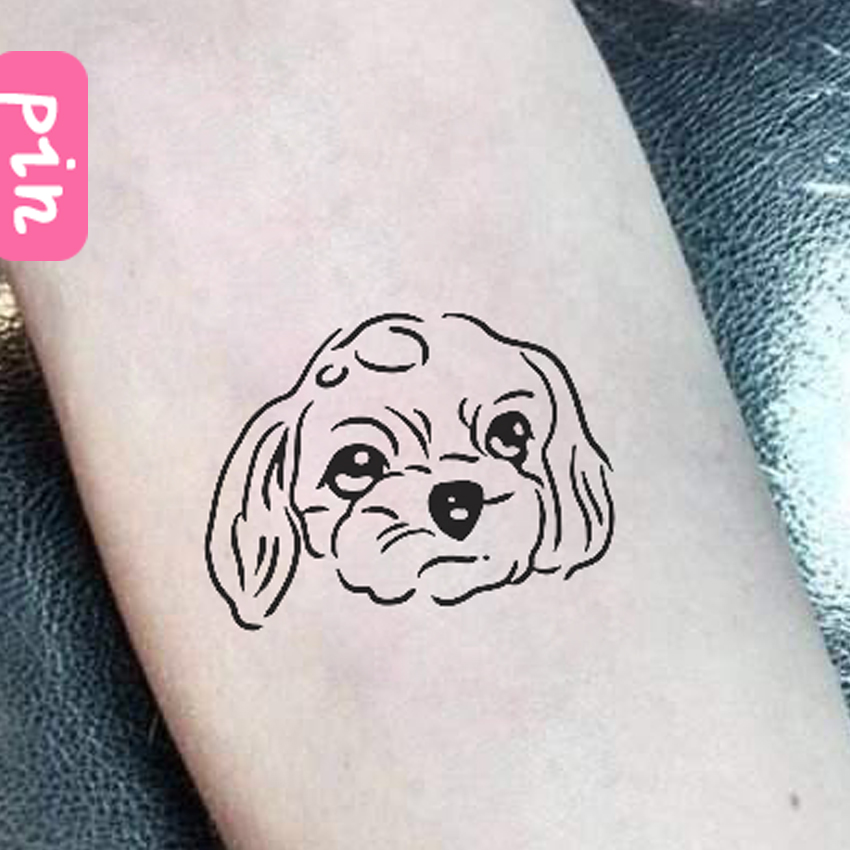 狗狗猫咪插画漫画宠物纹身设计手绘动漫设计头像定制q版卡通形象在类目 商务/设计服务, 设计服务, 卡通/动漫/插画设计中 - 来自Buy2taobao.com提供专业的淘宝代购服务