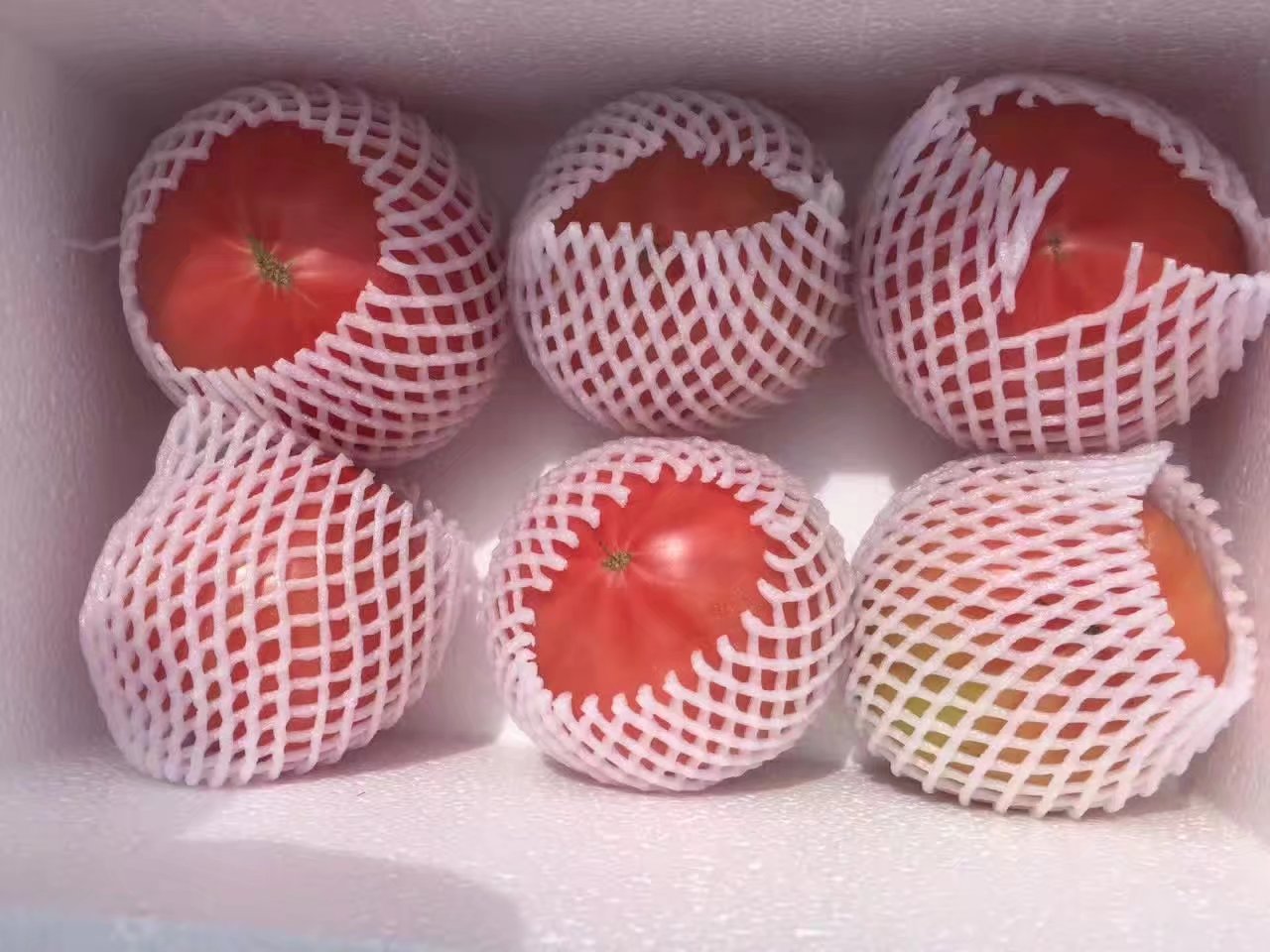 Tomatoes fresh natural Hormone Northeast peasant household tomato Good one 5 pounds Raw pregnant woman fruitin the Aquatic meat/Fresh fruits and vegetables/Cooked , Fresh vegetables/Vegetable products , Fresh vegetables , Tomatoes category - from Buy2taobao.com to provide professional Taobao agent buy service