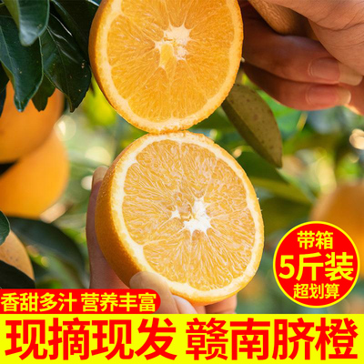 赣南脐橙江西寻乌橙子水果新鲜当季中果带箱5斤甜蜜多汁非冰糖橙