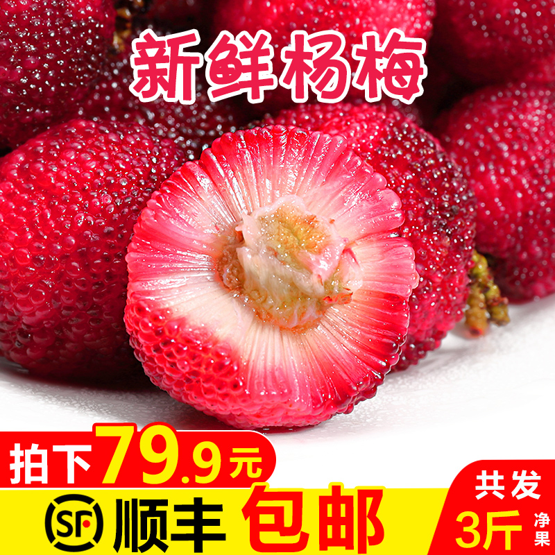 杨梅新鲜3斤整箱现摘现发浮宫东魁当季新鲜水果包邮顺丰非仙居|ruв категории водной мясо/свежие фрукты и овощи/еда, свежие фрукты, другие - от Buy2taobao.com для оказания профессиональной услуги покупки агента Taobao
