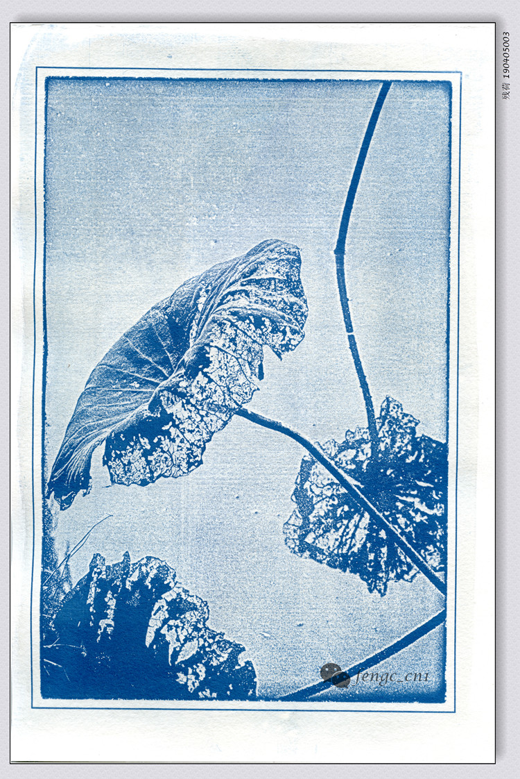 classical Printing Original Photographic works Lotus manual technology make Retro Photoin the Home accessories , Photo/Photo Wall , Photo/Picture card category - from Buy2taobao.com to provide professional Taobao agent buy service