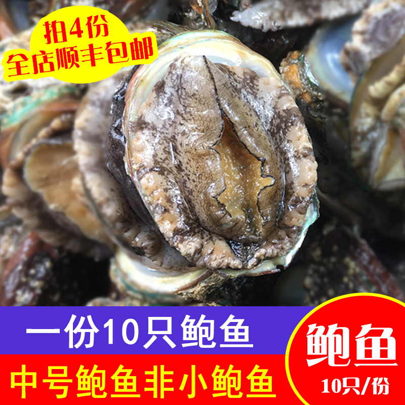 一份10只鲍鱼4份顺丰包邮新鲜野生鲍鱼水产海鲜贝类鲜活鲍鱼仔在类目 水产肉类/新鲜蔬果/熟食, 海鲜/水产品/制品, 贝类, 鲍鱼中 - 来自Buy2taobao.com提供专业的淘宝代购服务