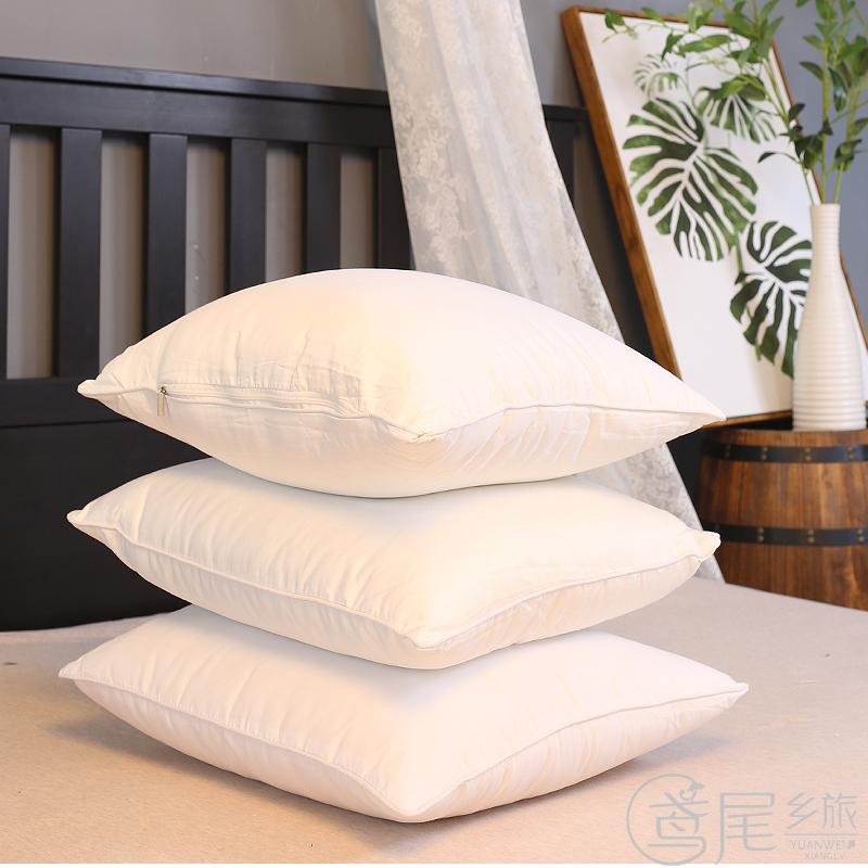 【成品】五星酒店羽絲絨靠包靠枕芯抱枕芯 四個以上包郵在類目 居家布藝, 靠墊/抱枕中 - 來自Buy2taobao.com提供專業的淘寶代購服務
