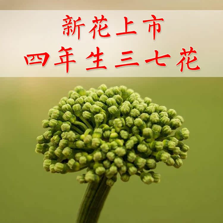 2017 three seven Hanada scented tea Yunnan Wenshan Four years Super selected Notoginseng flower 500 Genuine gramsin the Traditional nourishing food , Thirty-seven category - from Buy2taobao.com to provide professional Taobao agent buy service