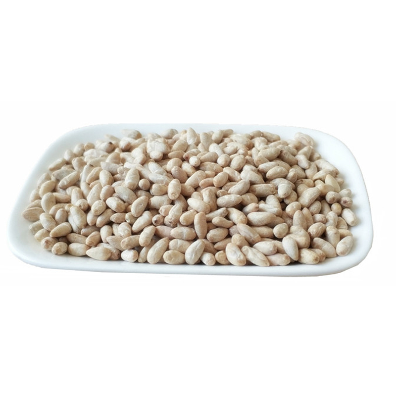 Cotton seed Hanako Folk prescription Cotton Cotton seed Cotton seed Medical Shelledin the Flower delivery/Flowers simulation/Plants gardening , Creative mini-plant category - from Buy2taobao.com to provide professional Taobao agent buy service