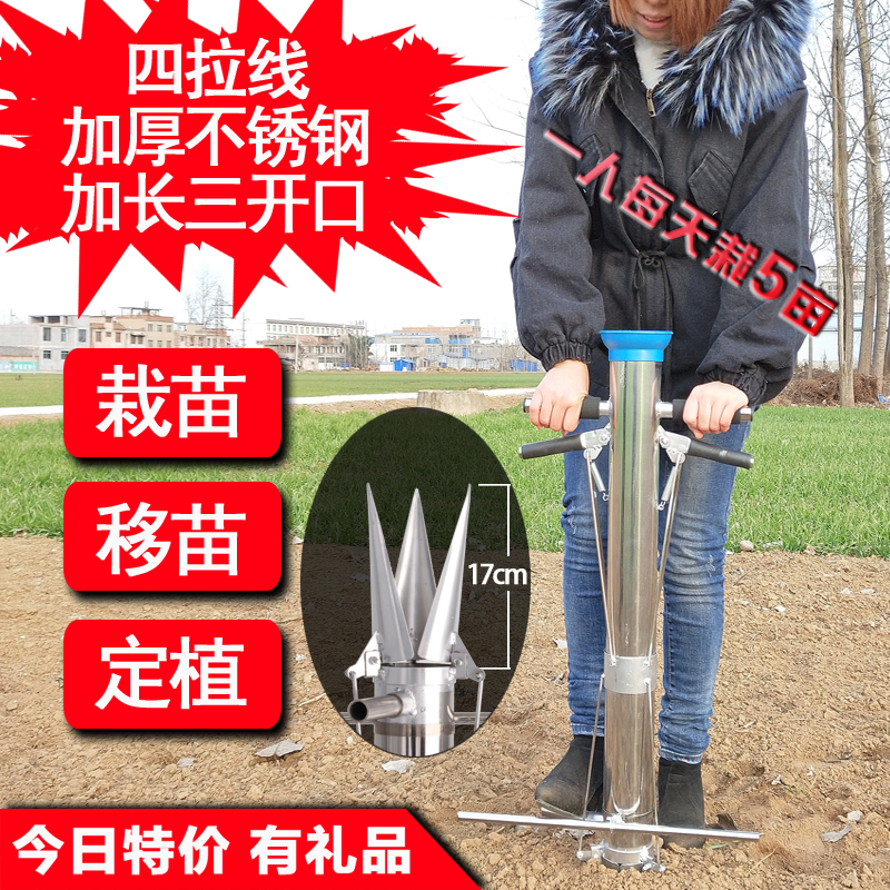 Zaimiao device Seeding apparatus Transplanter thickening Stainless steel Colonization Pepper Transplanting plantin the Agricultural Machinery/Farm tools/Plastic sheeting , Agricultural Machinery , Farming machinery category - from Buy2taobao.com to provide professional Taobao agent buy service