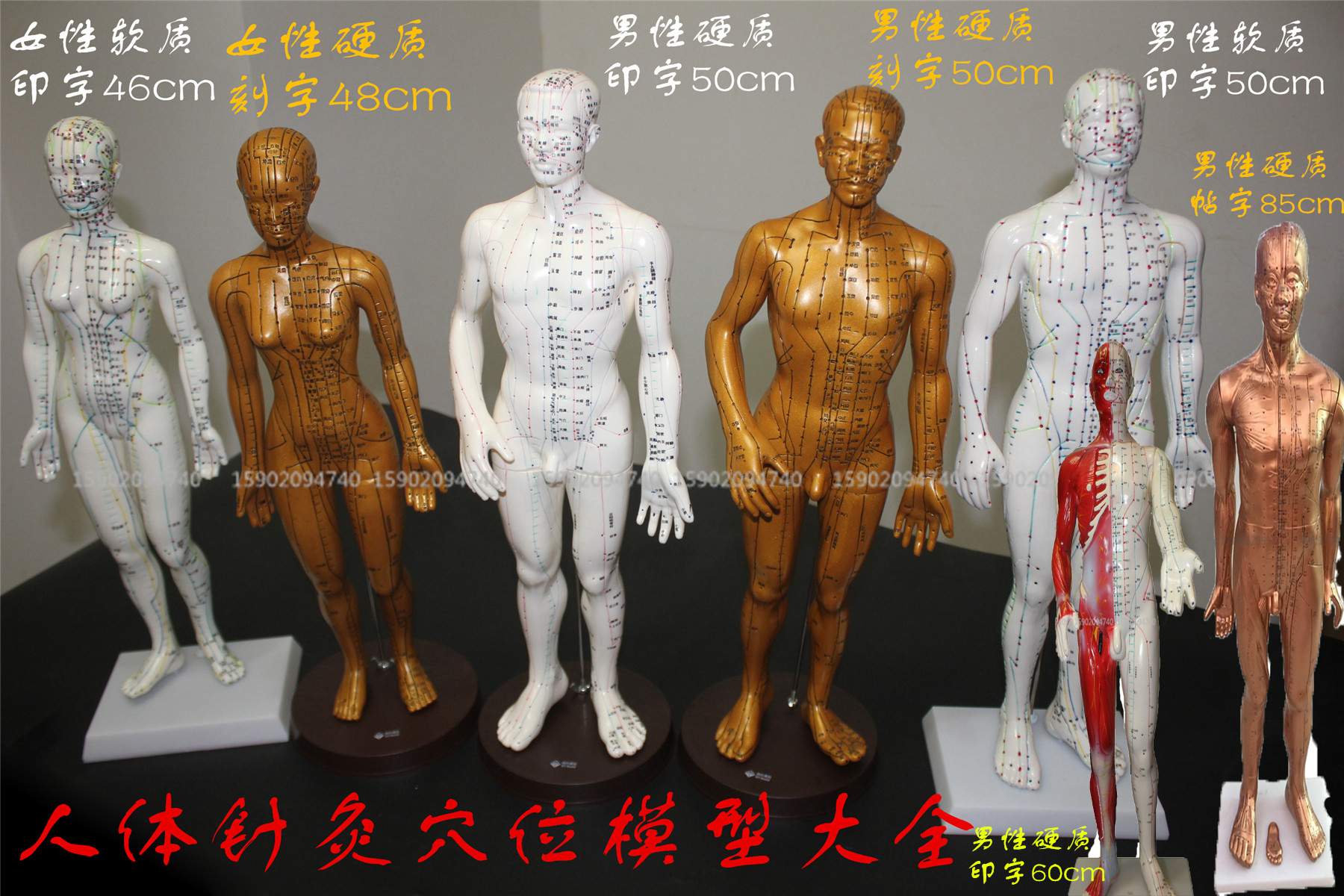 acupuncture human body Model Villain Cupping acupoint massage Model Meridian silica gel Model Flex men and women Pure copperin the Toy/Childs/Puzzle/Building block/Model , Static model , Other model toys category - from Buy2taobao.com to provide professional Taobao agent buy service