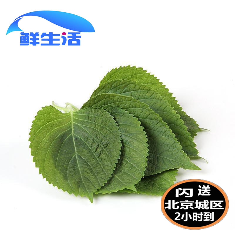 新鲜紫苏叶 苏子叶 日本料理寿司叶 日本大叶在类目 水产肉类/新鲜蔬果/熟食, 新鲜蔬菜/蔬菜制品, 新鲜蔬菜, 其它中 - 来自Buy2taobao.com提供专业的淘宝代购服务