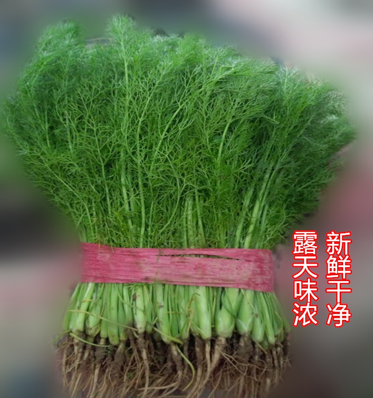 茴香菜 新鲜茴香菜 茴香小茴香蔬菜农家自种现割现发 1500克 包邮在类目 水产肉类/新鲜蔬果/熟食, 新鲜蔬菜/蔬菜制品, 新鲜蔬菜, 其它中 - 来自Buy2taobao.com提供专业的淘宝代购服务