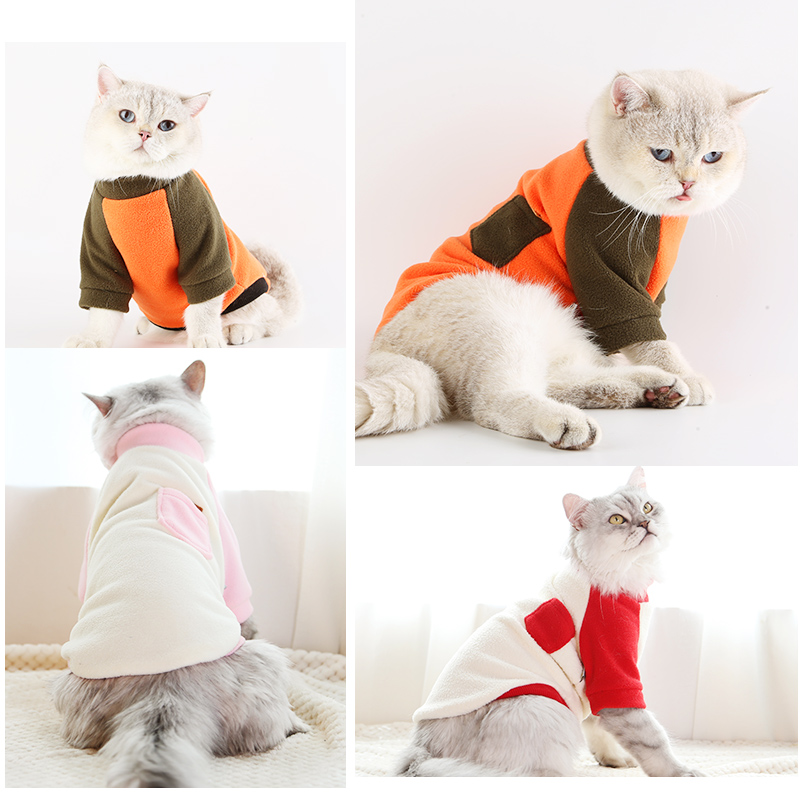 猫咪衣服宠物猫衣服英短蓝猫幼猫衣服小奶猫无毛猫衣服春秋装卫衣|msdalam kategori haiwan peliharaan/makanan haiwan dan bekalan, Haiwan pakaian dan aksesori, haiwan pakaian/baju hujan - dari Buy2taobao.com untuk memberikan perkhidmatan ejen Taobao profesional membeli