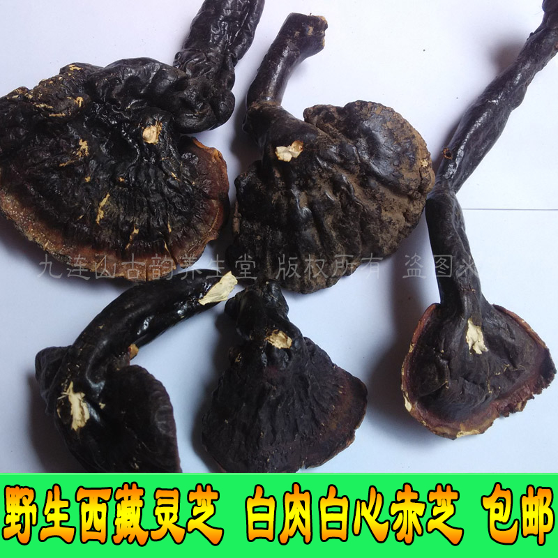高海拔纯野生西藏灵芝白心赤芝天然白肉灵芝整枝林芝250克可切片在类目 传统滋补营养品, 灵芝, 整枝灵芝中 - 来自Buy2taobao.com提供专业的淘宝代购服务