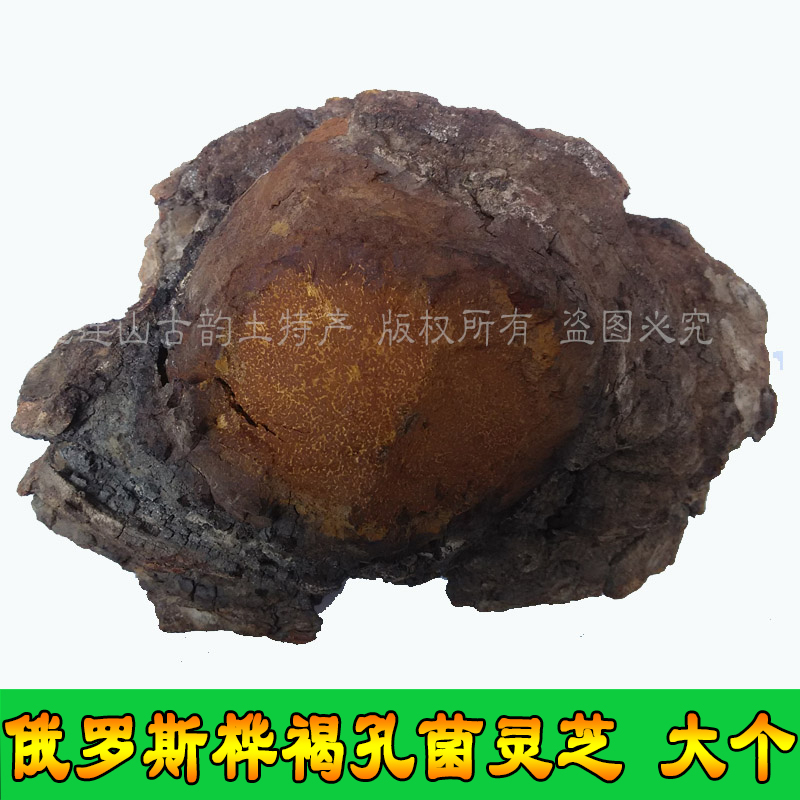 俄罗斯野生灵芝 桦褐孔菌 桦树菇桦树泪 250克可切块打粉 包邮在类目 传统滋补营养品, 灵芝, 整枝灵芝中 - 来自Buy2taobao.com提供专业的淘宝代购服务