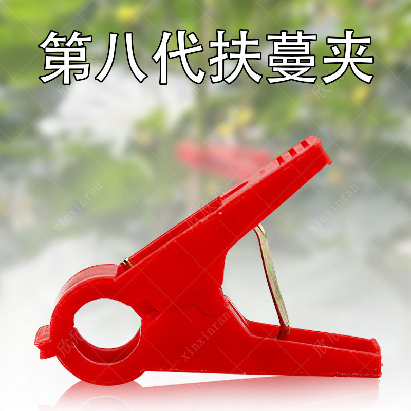 寿光大棚蔬菜番茄扶蔓夹塑料吊秧夹子番茄黄瓜西红柿西葫芦绑蔓夹在类目 鲜花速递/花卉仿真/绿植园艺, 园艺用品, 其它园艺用品中 - 来自Buy2taobao.com提供专业的淘宝代购服务