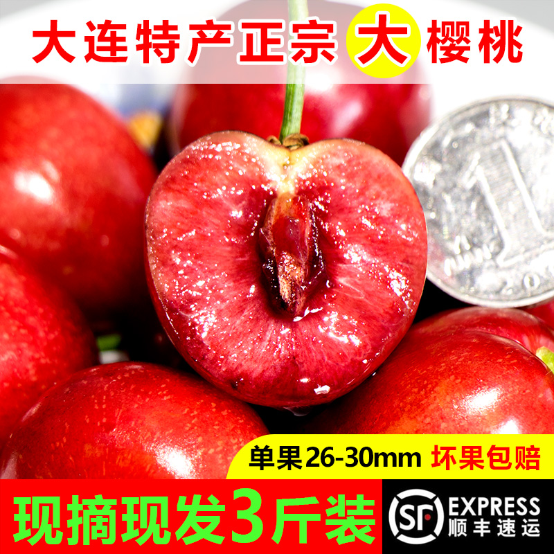 fresh fruit Dalian Cherry Cherry Dalian Country of Origin Honey bean Shunfeng 3 poundsin the Aquatic meat/Fresh fruits and vegetables/Cooked , Fresh fruit , Cherries/Cherry category - from Buy2taobao.com to provide professional Taobao agent buy service