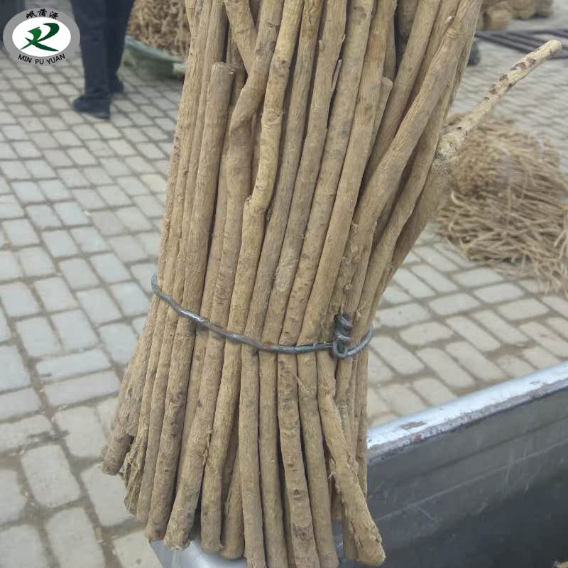 供应甘肃岷县特级中药材黄芪小条精品自然晾晒无硫500包邮在类目 传统滋补营养品, 其他传统滋补品, 黄芪中 - 来自Buy2taobao.com提供专业的淘宝代购服务